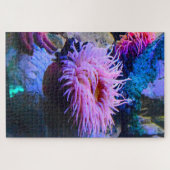 Meeresanemonen. Puzzle (Horizontal)