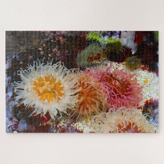 Meeresanemonen. Puzzle (Horizontal)