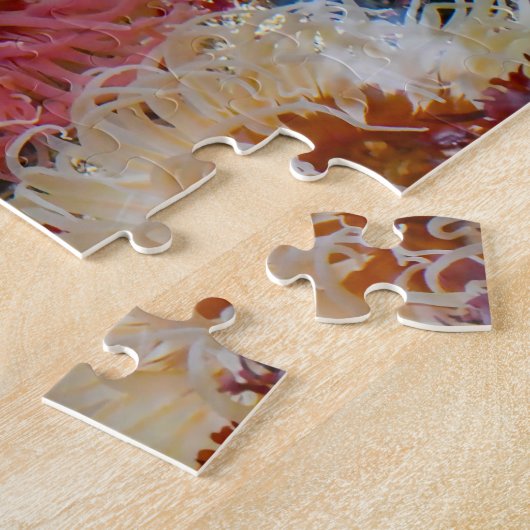 Meeresanemonen. Puzzle (Seite)