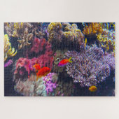 Meeresanemonen und tropische Fische. Puzzle (Horizontal)