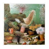Meeresanemonen unter Wasser Fliese (Vorderseite)
