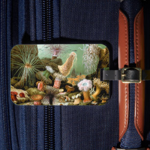 Meeresanemonen, Vintage Meerestiere Gepäckanhänger