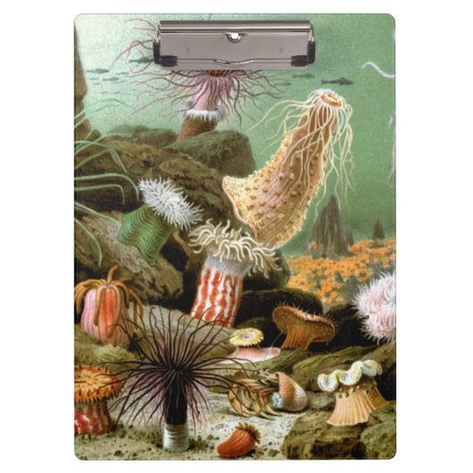 Meeresanemonen, Vintage Meerestiere Klemmbrett (Vorderseite)