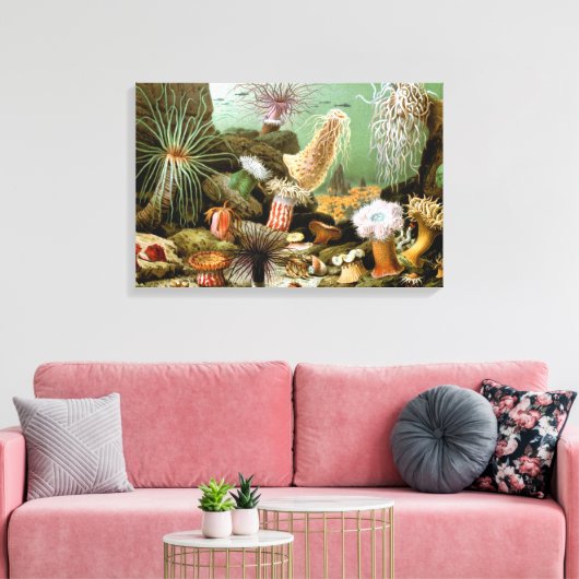 Meeresanemonen, Vintage Meerestiere Leinwanddruck (Insitu (Wohnzimmer))