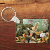 Meeresanemonen, Vintage Meerestiere Schlüsselanhänger (Rückseite)