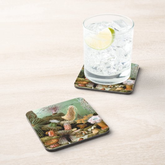 Meeresanemonen, Vintage Meerestiere Untersetzer (Rechte Seite)