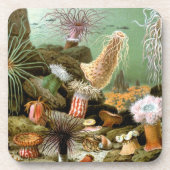 Meeresanemonen, Vintage Meerestiere Untersetzer (Vorderseite)