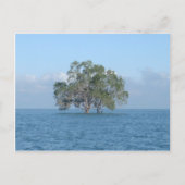Meeresbaum Postkarte (Vorderseite)
