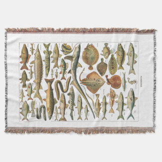 Meeresbiologie — Ästhetische Fischkarte Decke