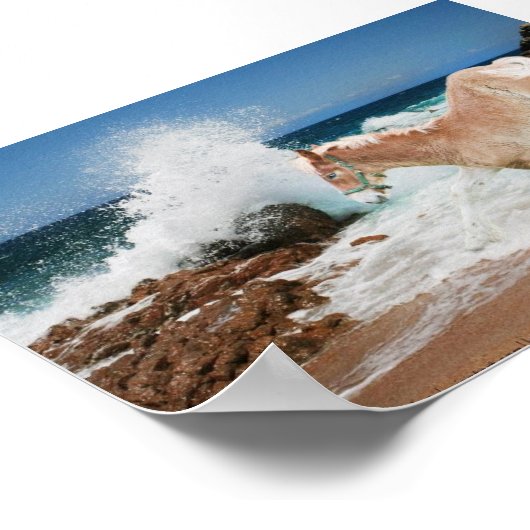 Meeresboden Poster (Ecke)