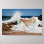 Meeresboden Poster (Vorne)