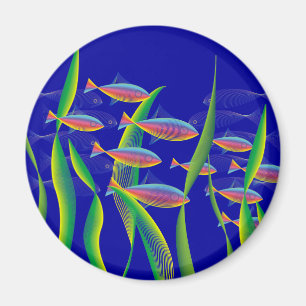 Meeresbodenmagnete Magnet