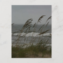 Meeresbrise Postkarte