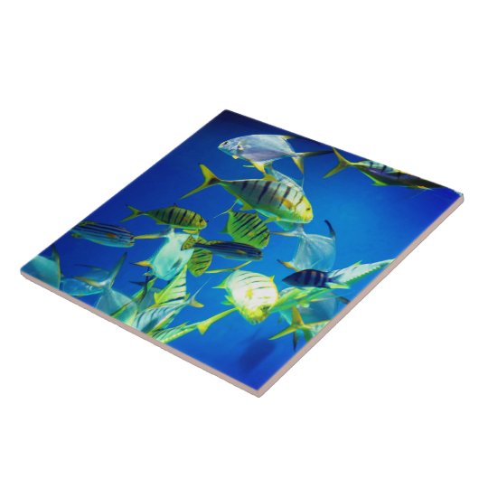 Meeresfisch Gelb mit schwarzen Streifen Fliese (Seite)