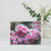 Meeresflora Postkarte (Stehend Vorderseite)