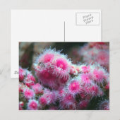 Meeresflora Postkarte (Vorne/Hinten)