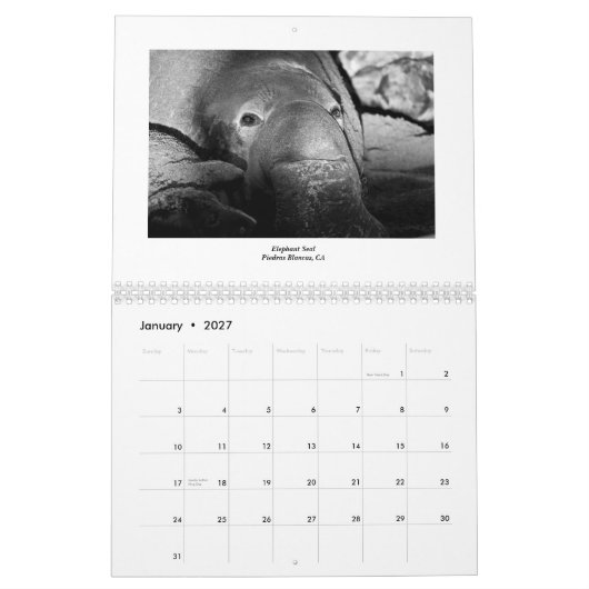 Meeresflora und -fauna 2011 kalender (Jan 2027)
