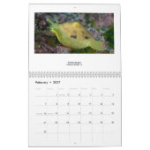 Meeresflora und -fauna 2011 kalender (Feb 2027)