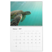 Meeresflora und -fauna kalender (Feb 2027)