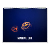 Meeresflora und -fauna kalender (Titelbild)