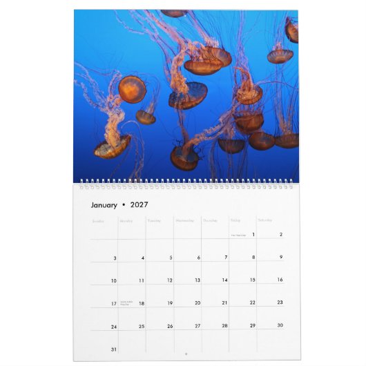 Meeresflora und -fauna kalender (Jan 2027)