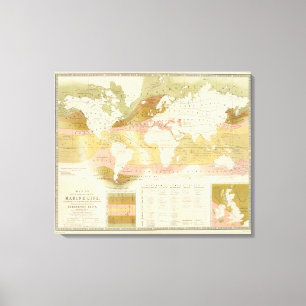 Meeresflora und -fauna leinwanddruck