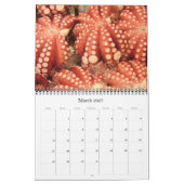 Meeresfrüchte 2025 kalender (Mär 2027)