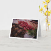 Meeresfrüchte im Mercado Central, Valencia, Spanie Karte (Gelbe Blume)