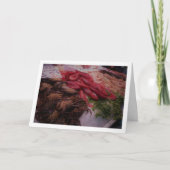 Meeresfrüchte im Mercado Central, Valencia, Spanie Karte (Vorderseite)