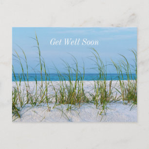 Meeresfrüchte im weißen Sand werden bald gut. Postkarte