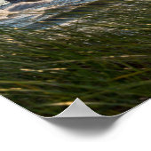 Meeresfrüchte und St. Joseph Poster (Ecke)