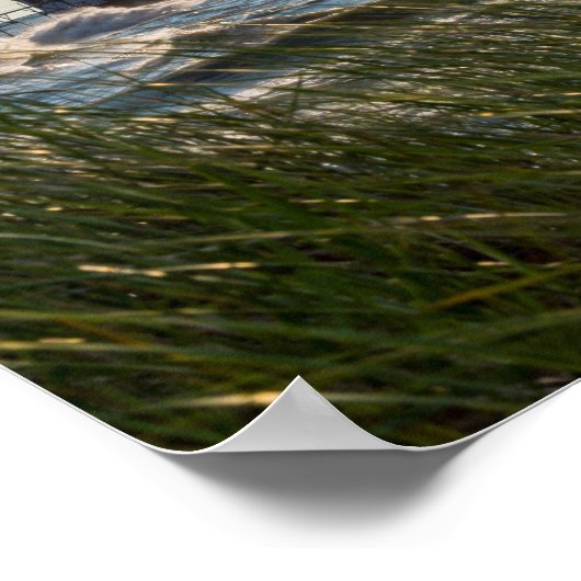 Meeresfrüchte und St. Joseph Poster (Ecke)