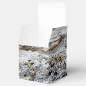Meeresgestein Geschenkschachtel (Geöffnet)