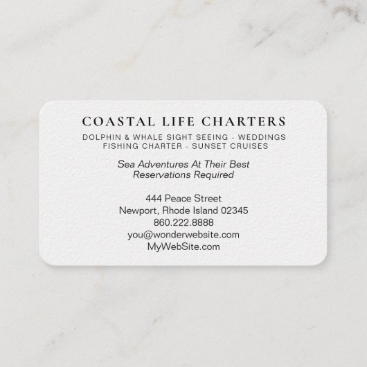 *~* Meeresgewässerfarben - Küstendelphine Visitenkarte (Rückseite)