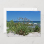Meeresgras entlang der Küste Postkarte (Vorne/Hinten)