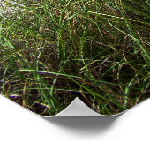 Meeresgras Poster (Ecke)