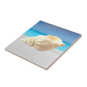 Meereskarakol Fliese (Seite)