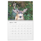 Meeresküste, WA, Landschaftlicher Foto-Kalender Kalender (Feb 2026)