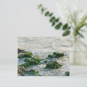 Meereslandschaft Postkarte (Stehend Vorderseite)