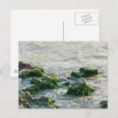 Meereslandschaft Postkarte (Vorne/Hinten)