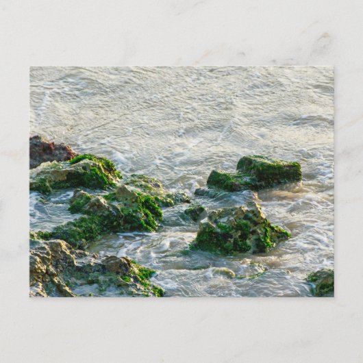 Meereslandschaft Postkarte (Vorderseite)