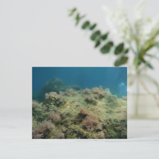 Meereslandschaft Postkarte (Stehend Vorderseite)