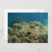 Meereslandschaft Postkarte (Vorne/Hinten)