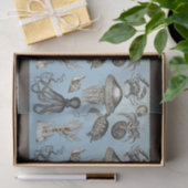 Meeresleben 1 seidenpapier (Geschenk)