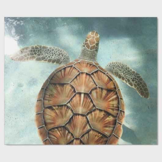 Meeresleben Geschenkpapier (Flach)