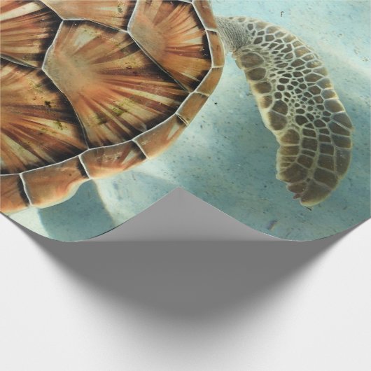 Meeresleben Geschenkpapier (Ecke)