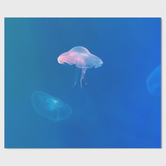 Meeresleben Geschenkpapier (Flach)