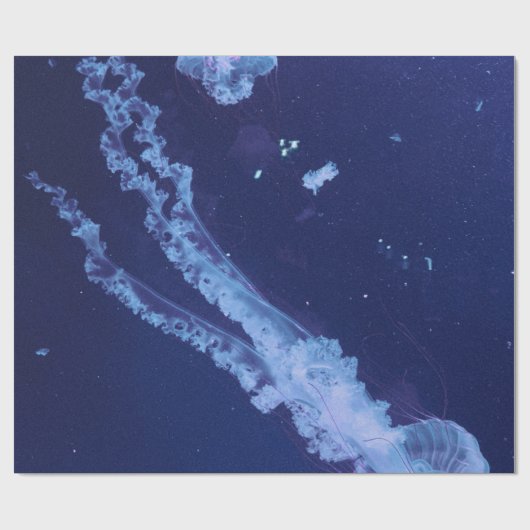 Meeresleben Geschenkpapier (Flach)