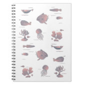 Meeresleben II Notizblock (Vorderseite)