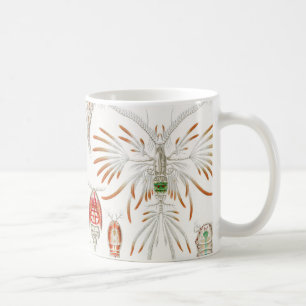 Meeresleben Krebstiere, Copepoda von Ernst Haeckel Kaffeetasse